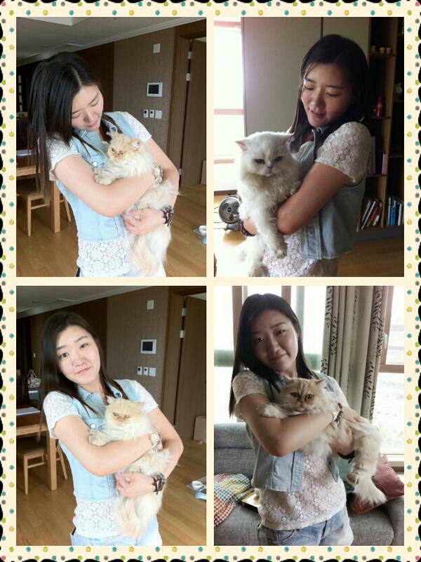 mocklove's tweet photo. 강화가기 전에 냥이랑 용이랑~ http://t.co/ksPwumeAl4