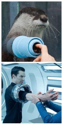 パンダスプン12 17 Pa Twitter ベネディクト カンバーバッチ氏 と カワウソ スタートレック Rt Starfield やっぱさ この画像 さんざんネットで見てたけど 大画面で観るとほんとにすごい 完全に一致だと思ってドキドキした Http T Co Ot5ewnkmua