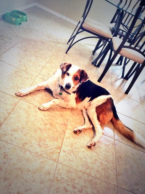 Always watching what I'm doin... :) http://t.co/Dzd1vDjSmw