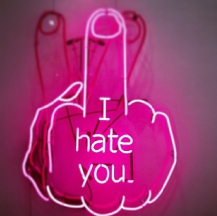 thefinger333's tweet photo. I hate you ! http://t.co/RuS8aQxKIC
