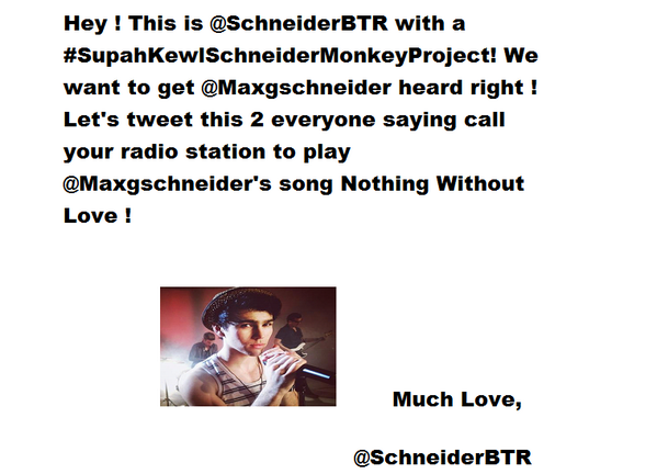 SchneiderBTR's tweet image. @cm_schneider Can you RT this to all the Schneider Monkeys you know. (SchniederMonkeyProject)