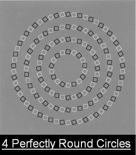 _BenjaminCornu_'s tweet photo. Cette image contient bien 4 cercles parfaits 8)
-> http://t.co/asgjx2EUnk
