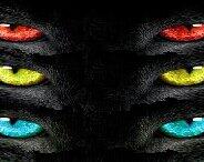 Awesome photo edit.