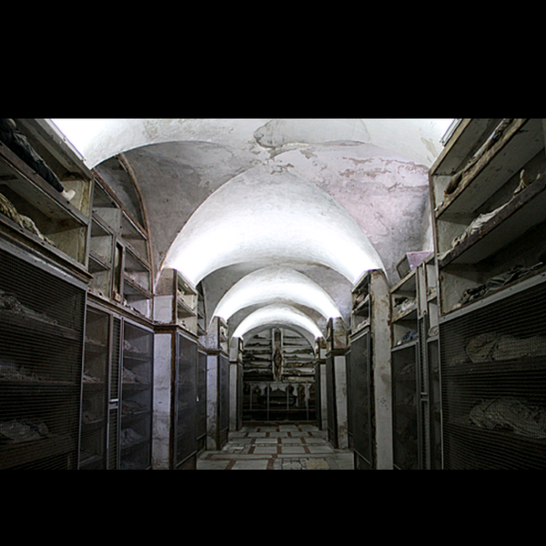 ScaryAssPics's tweet photo. An old morgue storing the dead. http://t.co/Bc9Xjdrrxh
