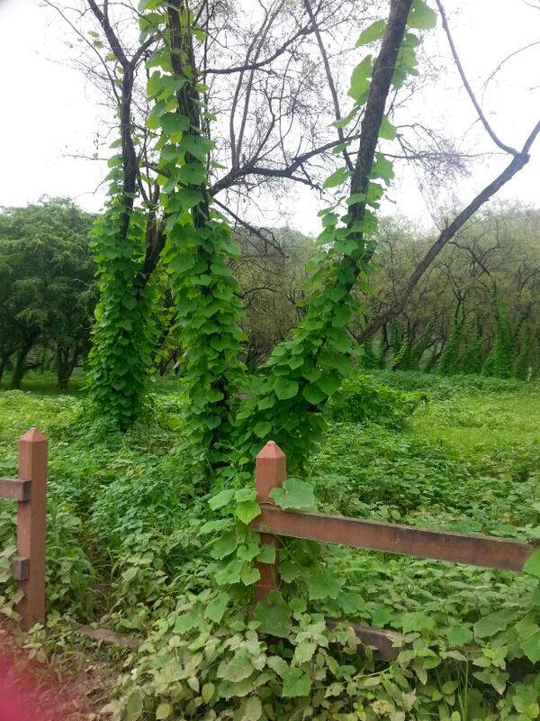 iSRQ_'s tweet photo. http://t.co/9MjMmFhkgL