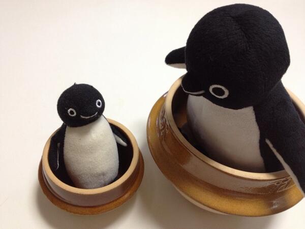 ☆ペンギン☆ tweet media