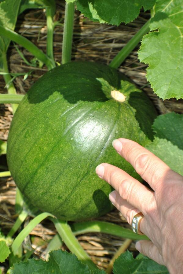 StoneLTD tweet picture