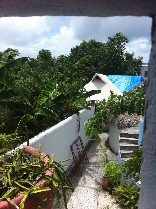 amarantobb tweet media