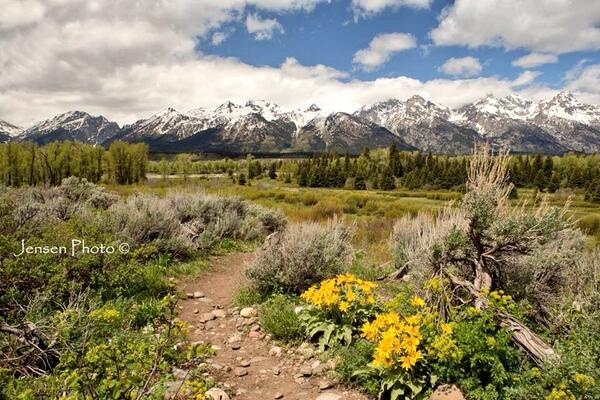 Jensen_Photo's tweet photo. Grand Teton National Park...beautiful place... http://t.co/b8GCOh4rzY