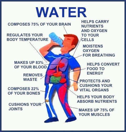 TweetsAroundFLA's tweet image. We live here in #SoFlorida and have hot and humid days! Here are a few more reasons to drink water!!