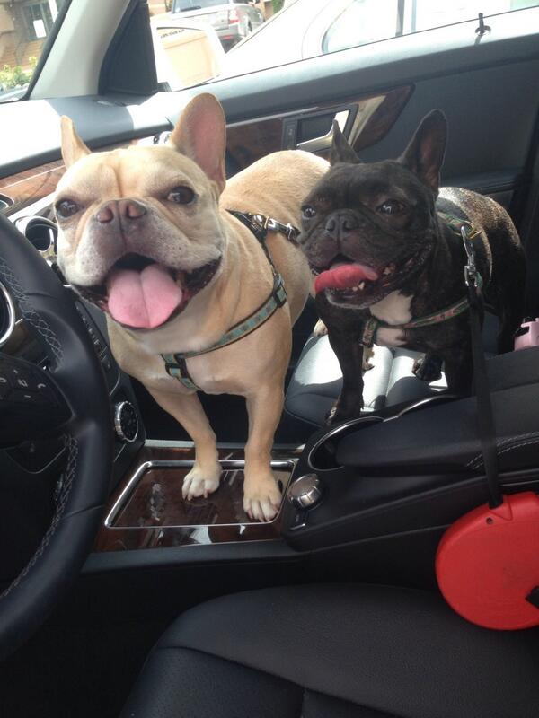 BabaDaPlaya's tweet photo. @JonahHill our ride or die! @chloesteffan http://t.co/ZXr1qROysD