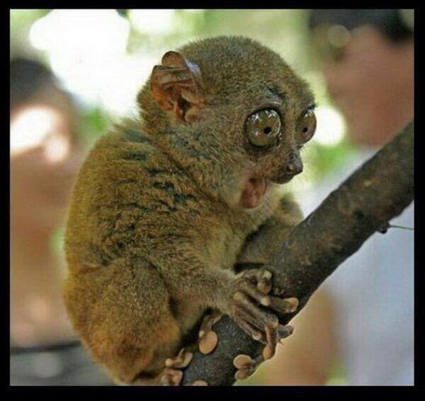 Watch ct.❤️'s leaked NSFW photo on TwXstars