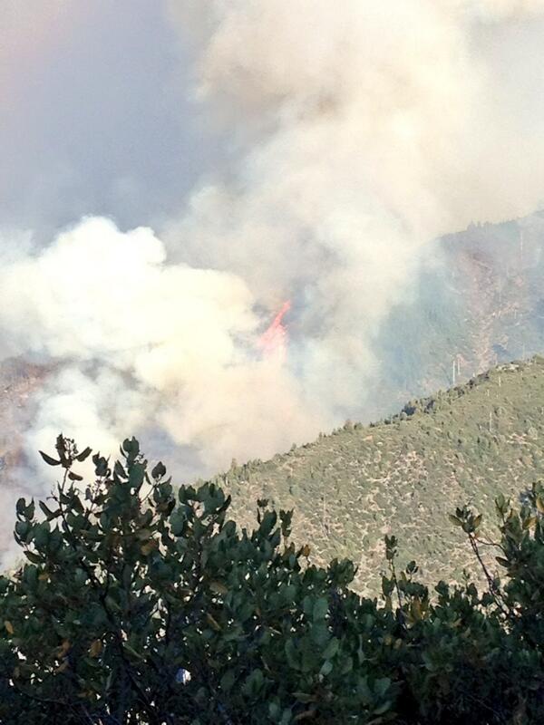 jlleonar2424's tweet image. Short strip crown run with 50 foot flame lengths from afar on the #butlerfire @CalFireNews @R5_Fire_News #CaFire