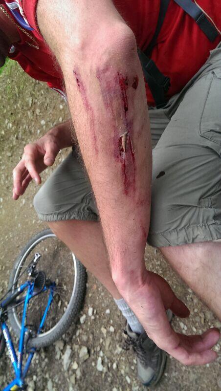 Fight with llandegla! Llandegla won!