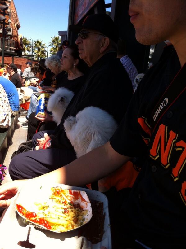 Tammi_SF's tweet photo. Dog days of summer at AT&amp;T Park!!! :) #sfgiants http://t.co/HCGC7u4cGb