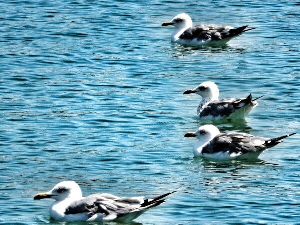 Roberto Cocconi (@robcocco) on Twitter photo 