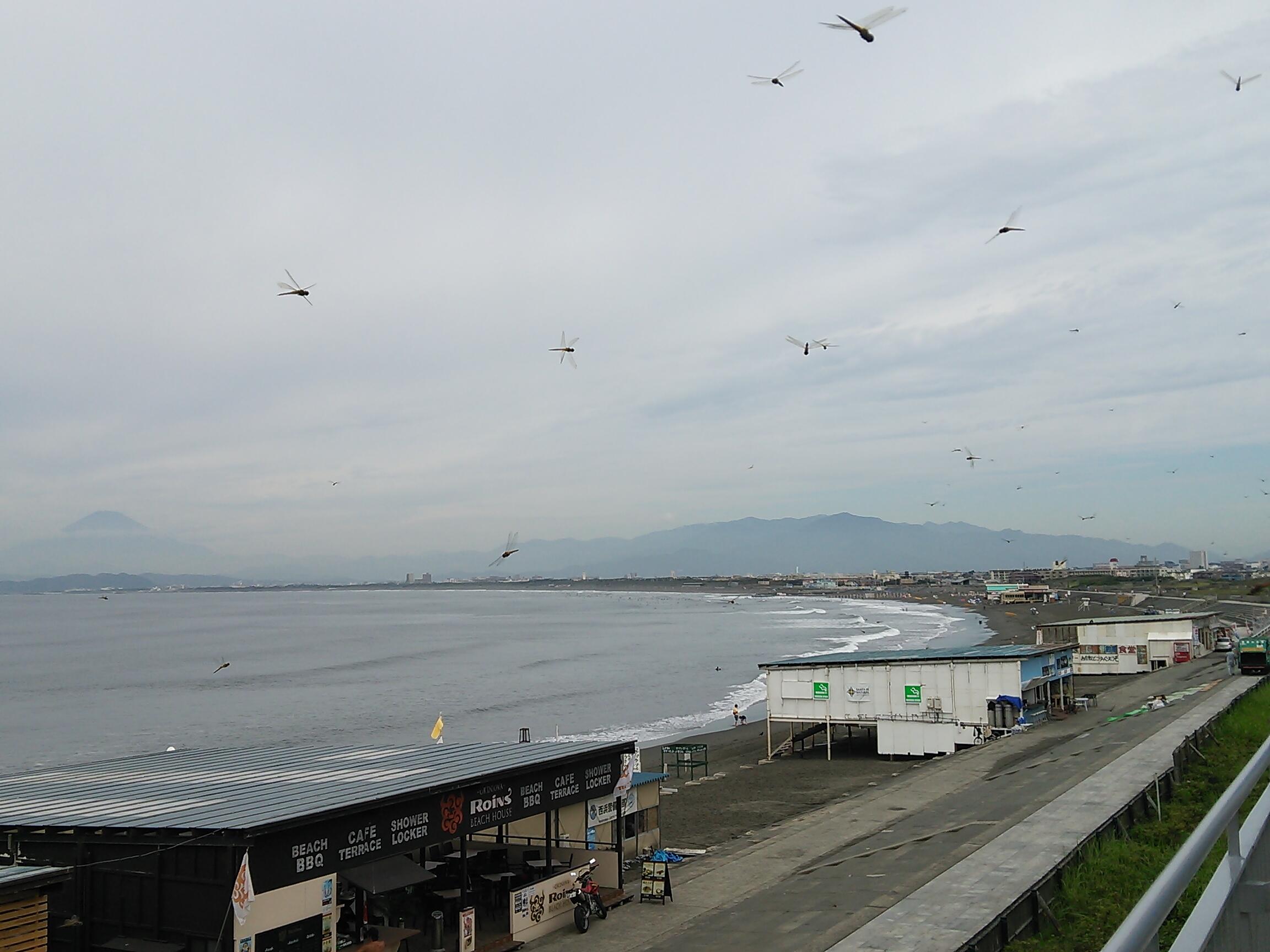 上質で快適 江ノ島プリズム 青木俊直 その他 Realtypresents Com