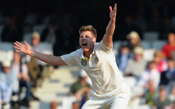 Australian Cricketers' Association tweet media