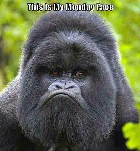 sarah_pirrie's tweet image. Hi ho, hi ho... Only good think about working a bank holiday #lesshours #doublepay