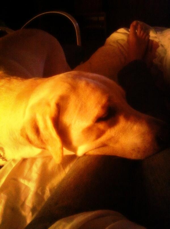 Embedded image permalink