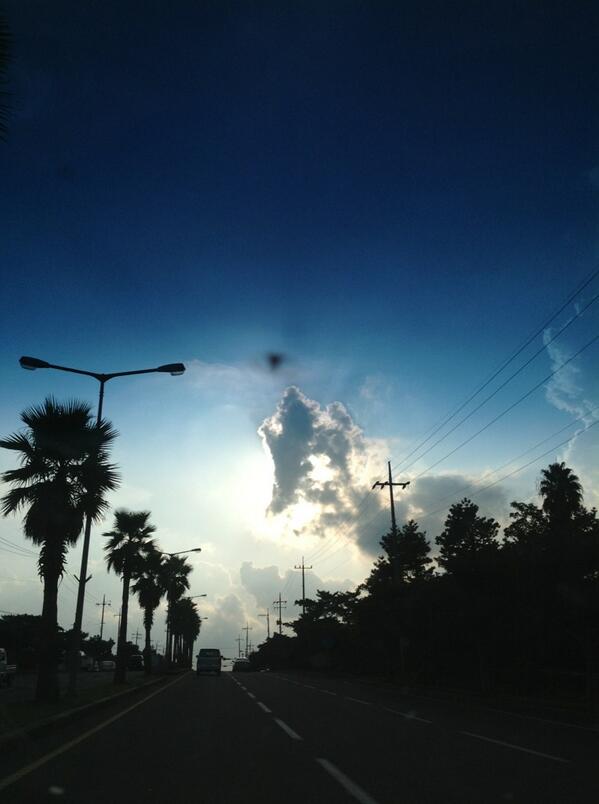 Pomme00's tweet photo. 멋진 하루 http://t.co/3ULs3v2Jbx
