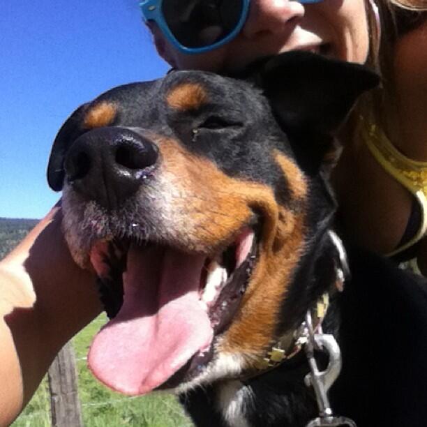 #NationalDogDay #bubbies @BC_SPCA @SunFMVernon @ http://t.co/y26RLuudU7<a href="/tag/nationaldogday"class="tags">#NationalDogDay</a><a href="/tag/bubbies"class="tags">#bubbies</a><a class="tags" target="_blank" title="On Twitter" href="/?out=eyJ0eXAiOiJKV1QiLCJhbGciOiJIUzUxMiJ9.eyJpYXQiOjE3MjMwNzIxNjgsImlzcyI6InR3cG9ybnN0YXJzLmNvbSIsIm5iZiI6MTcyMzA3MjE2OCwiZXhwIjoxNzU0NjA4MTY4LCJyZWRpcmVjdF91cmwiOiJodHRwczovL3R3aXR0ZXIuY29tL0JDX1NQQ0EifQ.rX0qZhnYfDZuzNCXN-MJ81qLONa4KI1c9nlJK1DpgQYFIbR5ezgBxHwxpz33wdkMfLYTKFATHzphQq_9tNj3pw">@BC_SPCA</a><a class="tags" target="_blank" title="On Twitter" href="/?out=eyJ0eXAiOiJKV1QiLCJhbGciOiJIUzUxMiJ9.eyJpYXQiOjE3MjMwNzIxNjgsImlzcyI6InR3cG9ybnN0YXJzLmNvbSIsIm5iZiI6MTcyMzA3MjE2OCwiZXhwIjoxNzU0NjA4MTY4LCJyZWRpcmVjdF91cmwiOiJodHRwczovL3R3aXR0ZXIuY29tL1N1bkZNVmVybm9uIn0.ViVgStruE29n52s-r7mnYWRb-Ad4qw_hYi4ZZIO2HD57_Uo5Ksutv9hmxzmUx3u4EeJV4dngcmsEIRlfBI4GNQ">@SunFMVernon</a>