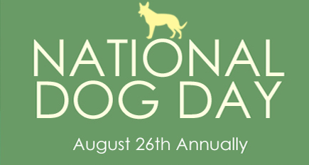 DogFriendlyFun's tweet image. National Dog Day! Hope you and your pups are enjoying it :)  nationaldogday.com