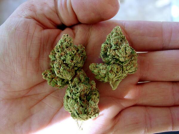 NiceWeed tweet picture
