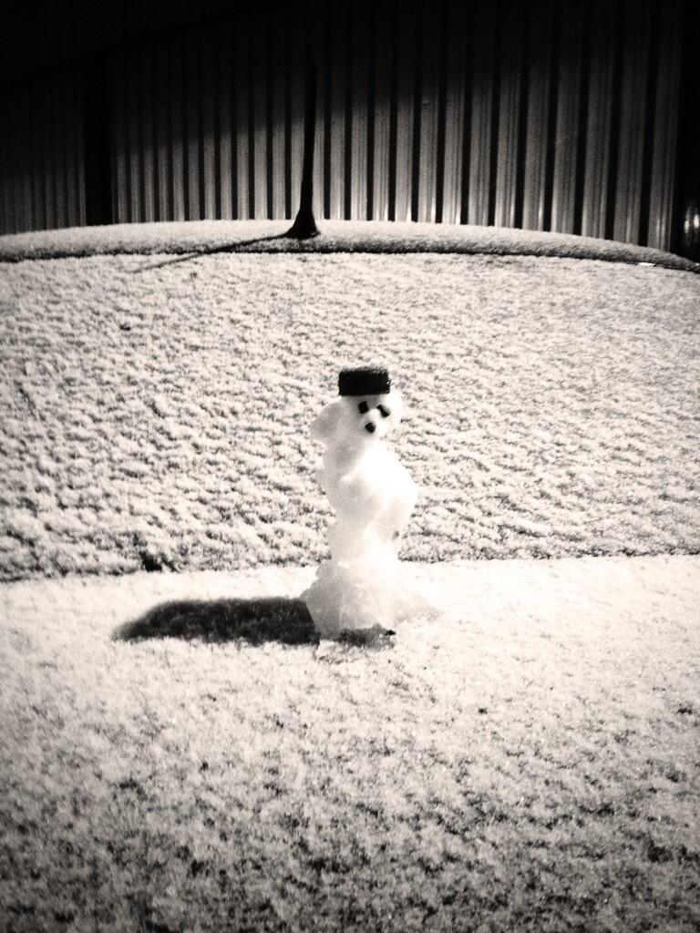 BSpQxRLCMAAsVwK.jpg:large