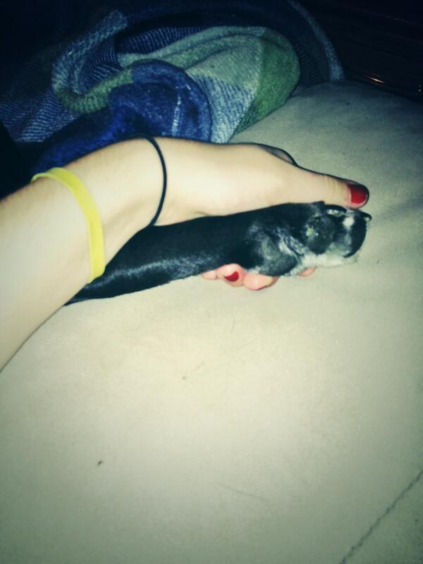 IzzyAmato123's tweet image. Babe. #backfoot