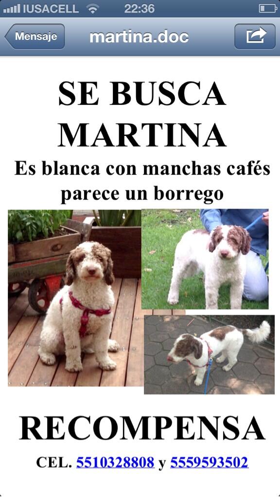 danigtzponce's tweet photo. http://t.co/Rdxq2Ma04I
