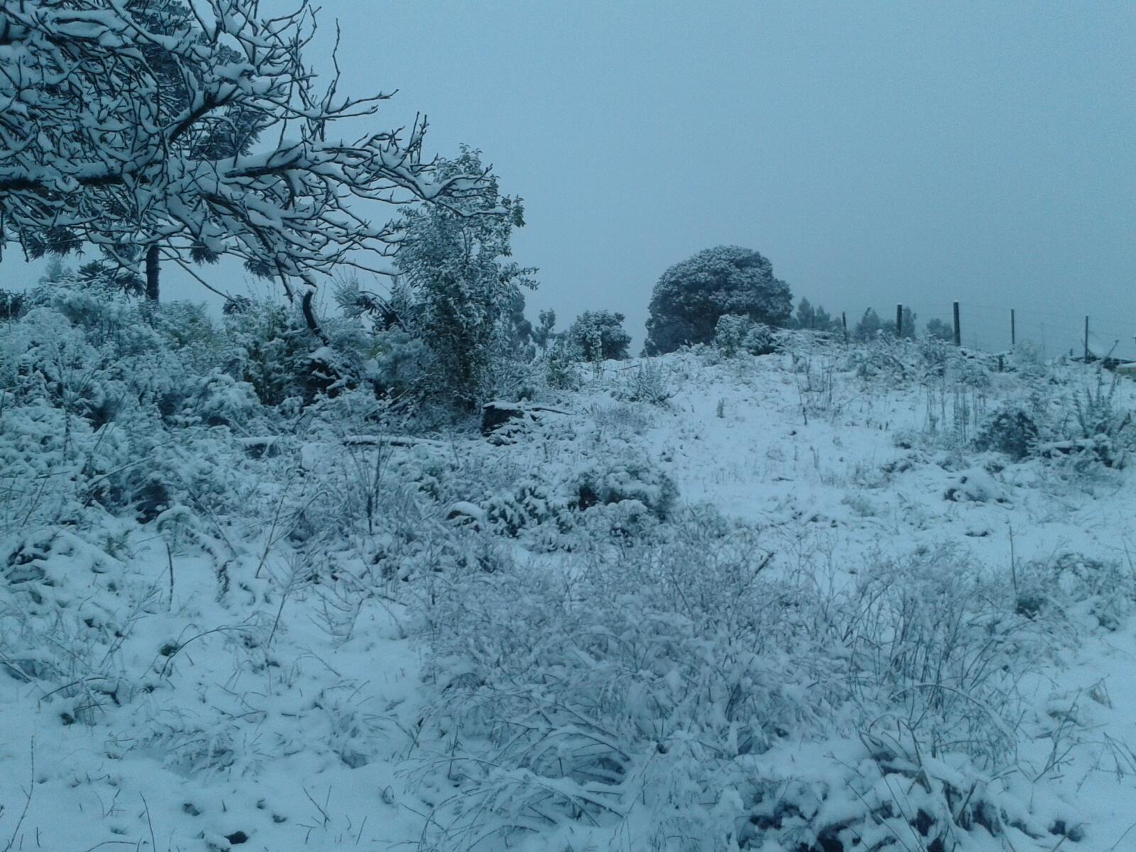 BSql8DGCYAE6yR9.jpg:large