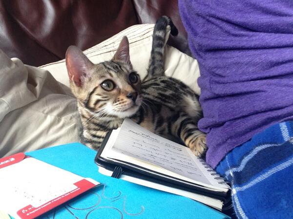 BlixSM2013's tweet photo. Mums got a lot of jobs to do today, so I'll help look after the to-do list xx http://t.co/jS5S2WDwx5