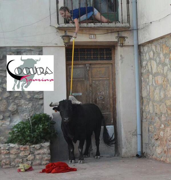 angelitus48's tweet photo. Poniendo guapo al torito . http://t.co/7MxTGEqHev