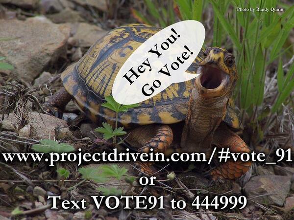 ArmCoTourism's tweet image. Have you voted for the Riverside Drive In today??? #AmericanIcon #ProjectDriveIn