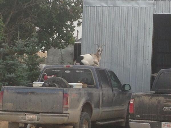 Nothing makes me happier when I come over to <a href="/slamhard/">slam</a> and see this #whatudoinupthere