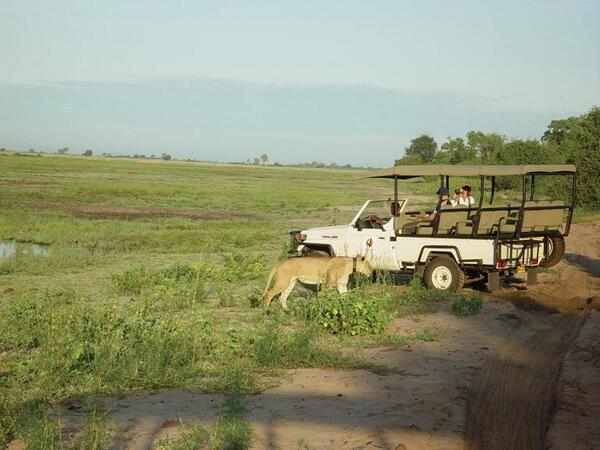 How wild creature be so friendly??... a click of the day.
#chobe national park