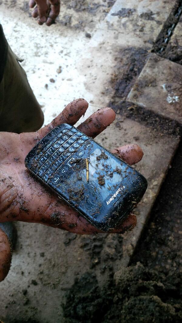 After 8 months in a manure blend pit, do you think it still works? #needsomerice