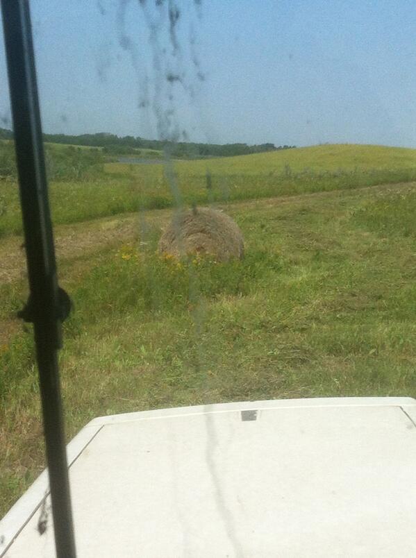 Love having to cut hay around old bales, custom hay# baling pissoff#  tractor work