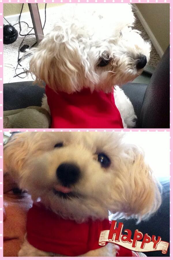 adegracegarza's tweet photo. I created this collage! http://t.co/AUVlaoWhqc via @PicCollage http://t.co/fFEeW20wtC