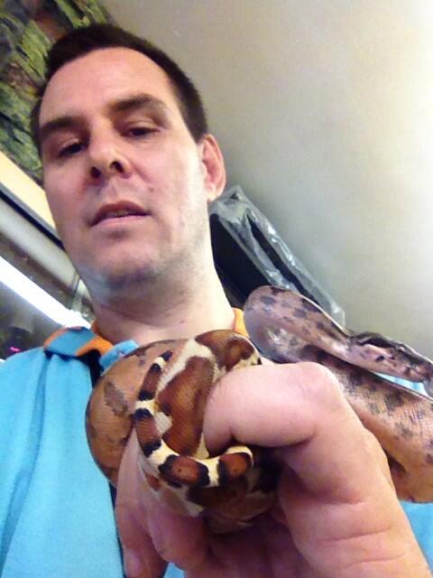 alanfoltyn's tweet photo. My new het albino boa http://t.co/I8jthKLPAt