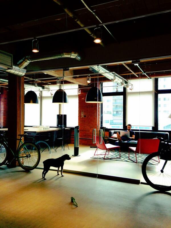 nicecobra's tweet image. It's hard being an office dog. And also lacking opposable thumbs. #doorproblems @adammcnamara @Shopify