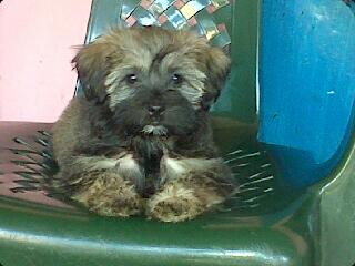 jaquelinGL's tweet photo. @danypili Yo soy la mas Bonita mi chikita hermosa ♥ http://t.co/SaEOOneiEO