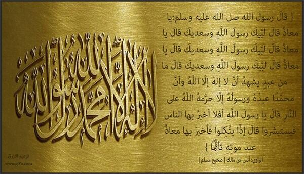 MUHAMAD995 tweet picture