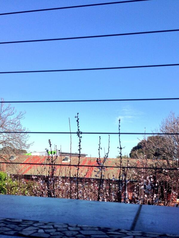 ElizaBart's tweet image. #Adelaide turning it on ☀🌳 #SpringInMySights #SpringInMyStep