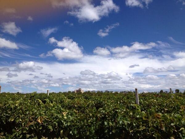 BOLETOS AGOTADOS!! 3ra Fiesta de la Vendimia YA NO TENEMOS BOLETOS DISPONIBLES !