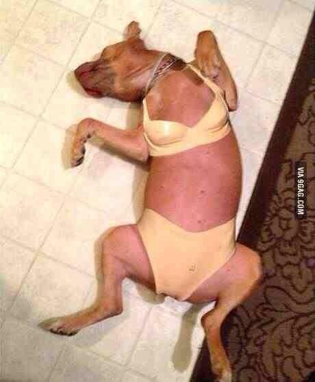 IvyGoat's tweet image. Miley Cyrus in her new outfit