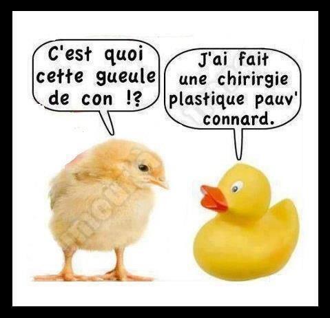 Gratuit Images Les Meilleur Blague Charliiie59 Twitter actualisé salutations
