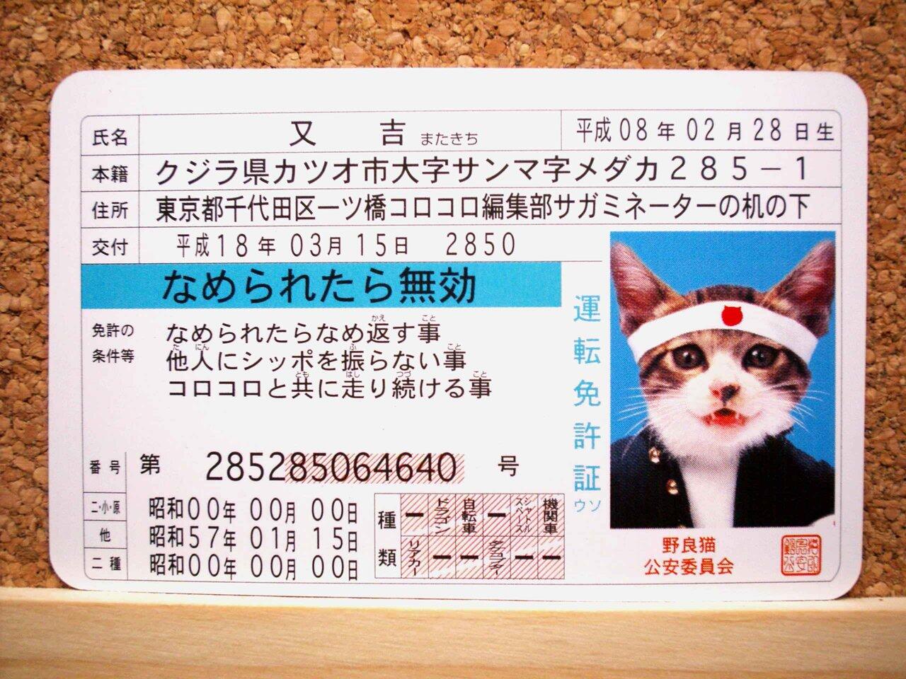 なめんなよ Bot Nemeneko1980bot Twitter