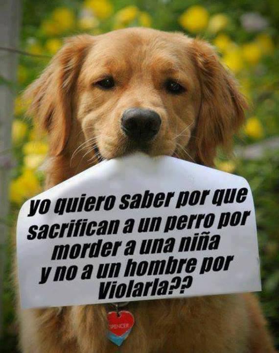 LoMejorDeFB's tweet photo. ¿Por qué? http://t.co/80DfNZma4U